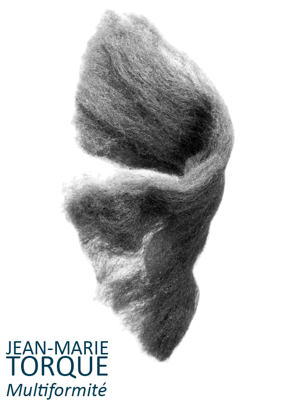 Jean-Marie Torque – Multiformité